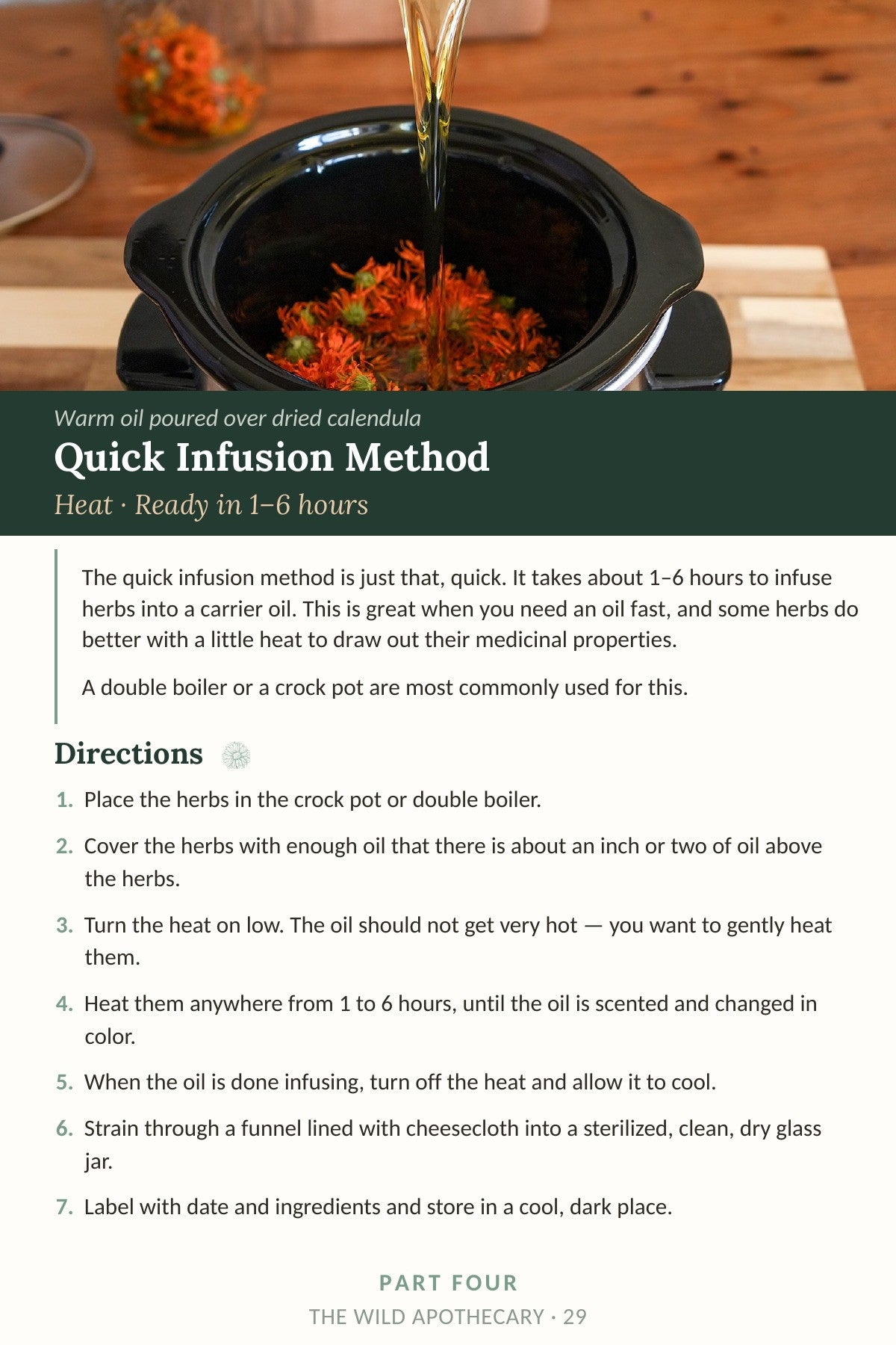The Art of Herbal Infusion | Herbal Oil eBook – The Wild Apothecary